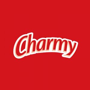 CHARMY GALLETAS CHOCO MANIA 192GR X 24