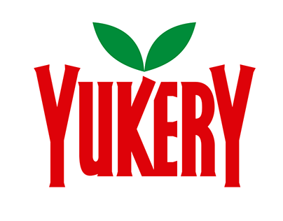 YUKERY JUGO DE NARANJA 250 CM3 X 12