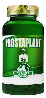 PROSTAPLANT 500MG X 60 CAP (SAW PALMETTO)