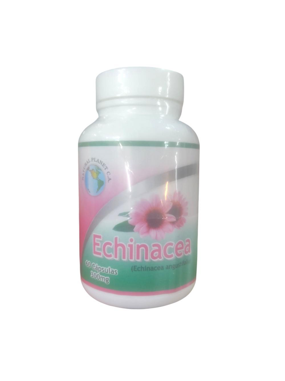 ECHINACEA 300MG X 60 CAP 